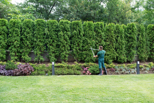 Reliable Greenfields, PA Tree Removal and Landscaping Services Solutions